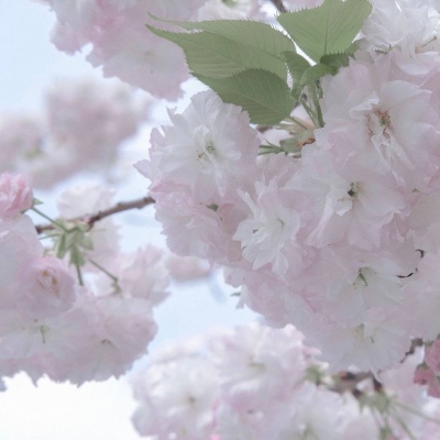 Furry绘画避坑实用指南兽圈群